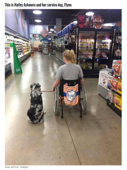 lastlips:  misscherry:  beloved-rose:    Teen With Epilepsy Has A Seizure When Her Service Dog Is Distracted  This article is too important for me to just post a link that you probably won’t click through to read.  THIS is why you DO NOT EVER pet service