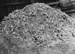 This heap of ashes and bones is the debris from one days killing of German prisoners by 88 troopers in the Buchenwald concentration camp near Weimar in Germany, shown on April 25, 1945. (AP Photo/U.S. Army Signal Corps)