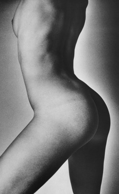 fragrantblossoms:  Jeanloup Sieff, from Best Nudes, Vol. 5, 1979 (Photobook). 