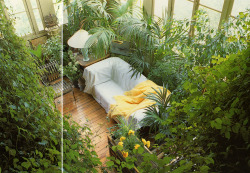 Terence Conran’s Decorating with Plants | Susan Conder © 1986  BROSTON THIS IS SO GORGEOUS LETS NAP HERE TOGETHER WITH ALL THE PLANTS