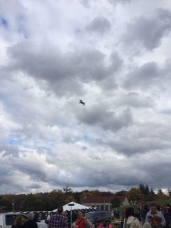 unclefather:  stunningpicture:  I was at a horse race yesterday when some kid lost his balloon…  going to the big horse race in the sky 