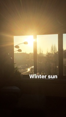 Winter sun 💛