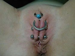 pussymodsgalore:  Rings and bars, chastity piercing.