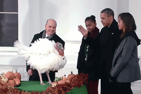 Pardoning a turkey