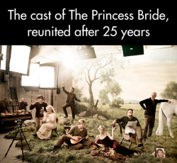 ofmasksanddragons:   thebestsoylatteyoueverhadandme:  shfifty-five-en-half:  The cast of The Princess Bride 25 years later. Entertainment Weekly  Brb, crying  Fucking miss you Andre. 