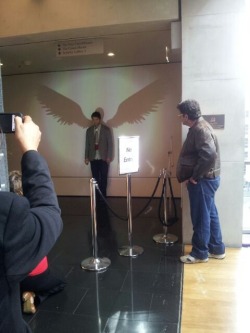 gdayidjits:  They projected wings on the wall yesterday and misha did this. 