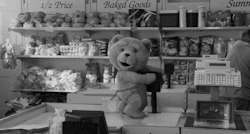 curi0sity-killed-y0ur-virginityy:  Every blog needs a teddy humping a scanner on a cash registor. hahah