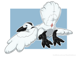 Ickeh commission - by TheWhiteFalconCute naughty pooltoy bird :3