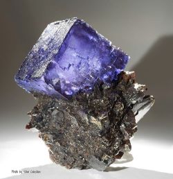 geologypage:  Fluorite on Sphalerite | #Geology #GeologyPage #Mineral  Locality: Elmwood Mine, Smith County, Tennessee  Size: Specimen is 2.2 inches tall. Fluorite is 1.4 inches across from left edge to right edge.  Photo Copyright © Stan Celestian/flickr