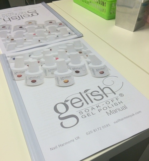 A Day of Gelish Training With Nail Harmony UK