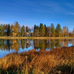 #Autumn #colors #colours #nature #reflections #sky #water #walk #tree #trees #goodday #beauty #park #photorussia #photowalk #October #Gatchina #Russia #spb #краски #осень #цвета #парк #Гатчина #Россия