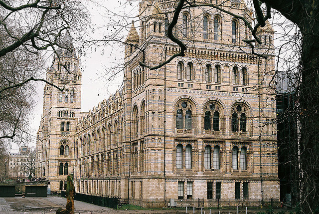 imperfectio: Natural History Museum by (clareta) on Flickr.