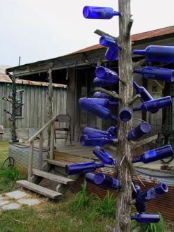 sixpenceee:When African slaves arrived into the US, they created bottle trees from dead trees and adorned them with glass bottles scavenged from garage piles.  Blue bottles were coveted, because they repelled evil and trapped night spirits to be destroyed