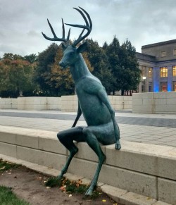 servicek9s: demicia:  ryuichifoxe:  The nightmare deer welcome you to Columbus Ohio (8  This makes me so uncomfortable  WHY 