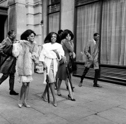 languagethatiuse:   The Supremes with fellow Motown artists The Temptations in London, 1964.  