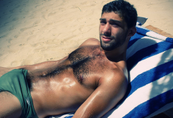 hairy-chests:  .HairyChestS   .TBigCock    .Bulge