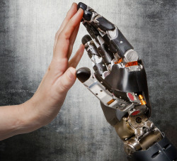 laboratoryequipment:  Research Works Toward Touch-Sensitive ProstheticsNew research at the Univ. of Chicago Medical Center is laying the groundwork for touch-sensitive prosthetic limbs that one day could convey real-time sensory information to amputees