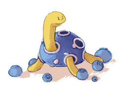 almondette:  Fav single stage: Shuckle!! Shiny shuckle and oran berries look pretty similar… 
