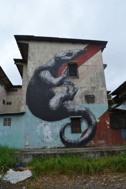 artpeoplemake:  PANAMA CITY-Curundu- (3/3) by ROA ! on Flickr.#APM #Art #Mural #Sicc