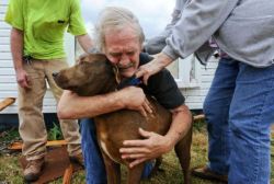 Man find his dog after a hurricane, or something&hellip;