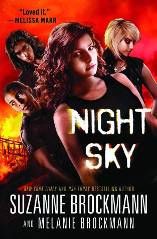 Night Sky by Suzanne Brockmann & Melanie Brockmann