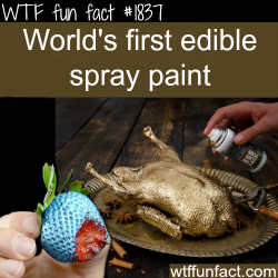 wtf-fun-factss:  edible spray paint - WTF fun facts
