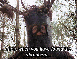 Then when you have found the shrubbery