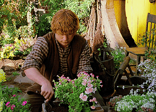 kwistowee:➥ Character Introduction: Samwise Gamgee The Lord of the Rings: The Fellowship of the Ring (2001) dir. Peter Jackson