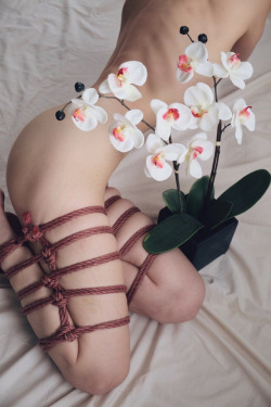 brookelynne: inflorescence | self-portraits  •✧{ more here }✧• 