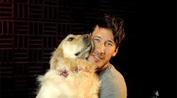 markired:  “chica is such an important part of this channel, and she’s like all of our dog, she’s everyones. she loves everyone.” –– xx.