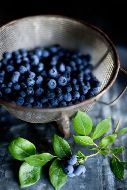 grace-hollow-doll:Dreaming of blueberries