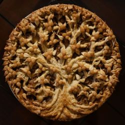 stunningpicture:  I entered this into the Beverly Hills Farmers Market pie contest this morning… It won “Most Beautiful” 