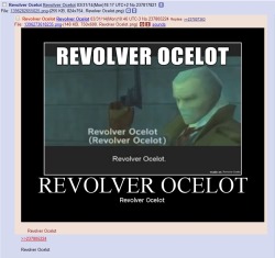 Revolver-Ocelot:  Revolver Ocelot   
