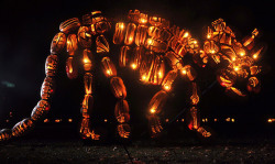 commanderspook:  prettyfancy | moshita  Killer Pumpkin Arrangements at the Great Jack O’Lantern Blaze  Held every year in New York, the Great Jack O’Lantern Blaze is a 25-night-long Halloween event featuring some 5,000 hand-carved, illuminated pumpkins