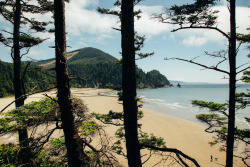 tortor0:  kimlucille:  thenorthwestexplorer:  Location: Oswald West State Park - Oregon Coast Date: June 8th, 2014  Ohhh I’m gonna check this place out the next time its hot!  Oregon is so amazing.