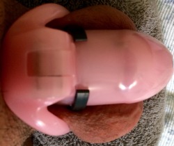 show-us-your-locked-cock:  Holy Trainer v2 with anti-pullout device. Day 91/Indefinite. I went 80 days without an orgasm. Still chaste and pure, just the way my keyholder likes me :) #HolyTrainer #Slave #Virgin