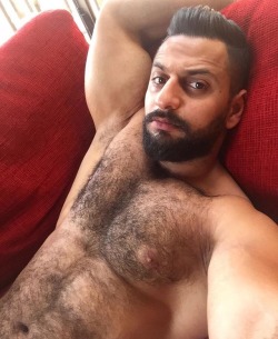 arabfitnessgods:  Furry Lebanese Daddy Mohammad Damouri.  Damn, i can’t control my drool from falling 🤤Hairy chest, musky pits and that Arab male charisma is a deadly combination for all the females and well males 😛out there.  💯% Prime Arab