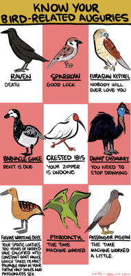 smbc-comics: Know Your Bird-Related Auguries 