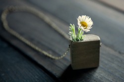 bri-loves-cats:  myampgoesto11:  Hand made wood and grass mini planter jewelry by Mr. Lentz    “I create and design functional items and jewelry – mostly out of reclaimed wood and upcycled materials from salvage yards. I have always been a creator