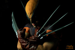 matthewdavidphotos:  Classic Brown &amp; Gold Wolverine Did a home studio shoot for the classic Brown and Gold Wolverine today. It was a good time and a prelude to the Wolverine Vs Sabretooth shoot coming up.   Cosplay : Billy C.  IG   