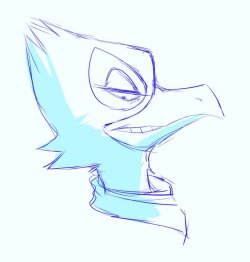 A quickie Falco portrait sketch that was made to practice on my new tablet and monitor.(I’m aware birds don’t have teeth, but I’ve observed that Falco seems to gain them for expression purposes )