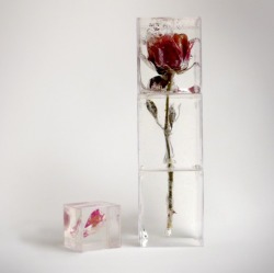 narabean: I Love You Not by Matthew Williams With ‘I Love You Not’ Matthew Williams has preserved a real rose stem and petal inside four blocks of clear resin, creating a chic, standalone rose stem sculpture. Each resin block is able to be moved