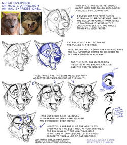 drawingden:  My Approach to Animal Expressions… by teagangavet  