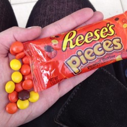 Yum yum yum! Chowing down on some sweet treats! #ReesesPieces #nom #peanutbutter #delish