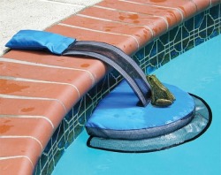 vampireapologist: suffybummers:  red-faced-wolf:  southernsideofme: Frog Log  WHAT A GOOD IDEA   @vampireapologist  these make me so so happy! Everyone should have these in the pools! 