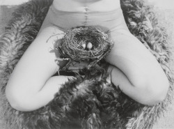 afrouif:© Birgit Jürgenssen • 1979 “Nest” 