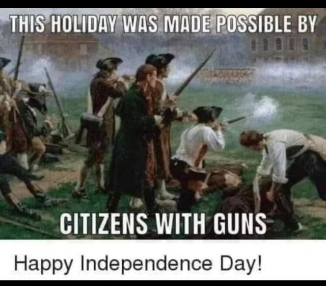 🇺🇸🇺🇸🇺🇸Happy Independence Day!Pew Pew!