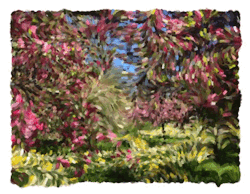 nybg:  A little tease of our new, GIFable photo filter launching alongside our latest exhibition, Impressionism: American Gardens on Canvas. Stay tuned! —MN