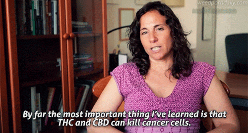 By far the most important thing I've learned is that THC and CBD can kill cancer cells