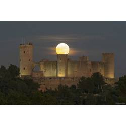 Supermoon over Spanish Castle #nasa #apod #moon #supermoon #oakmoon #satellite #solarsystem #bellvercastle #palmademallorca #balearicislands #spain #space #science #astronomy
